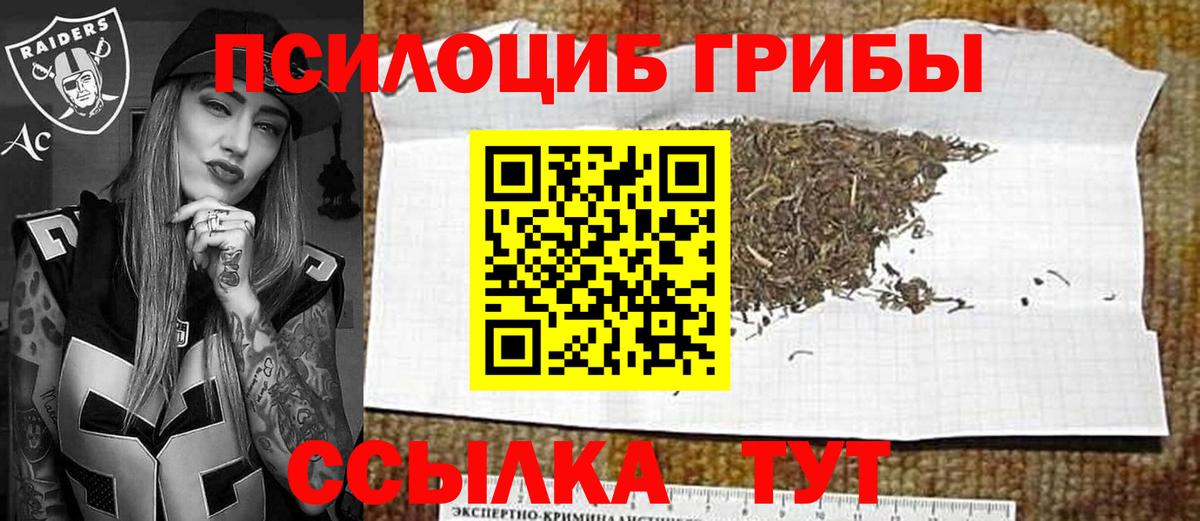 Псилоцибиновые грибы прущие грибы Сергиев Посад