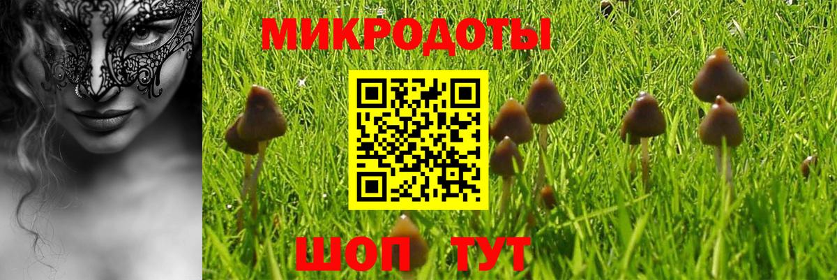 Сергиев Посад  Псилоцибиновые грибы Cubensis  Вход с VPN 